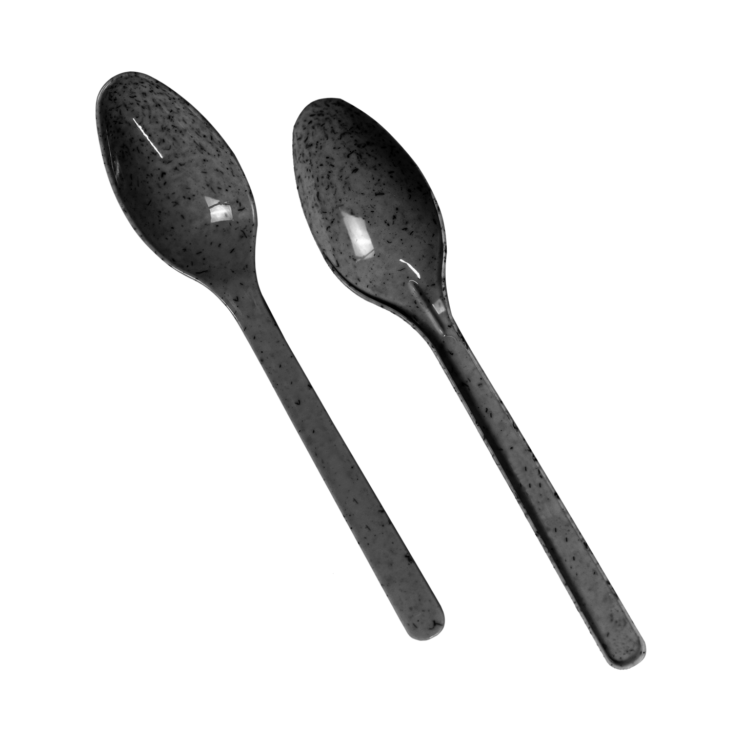Black Agave Spoon