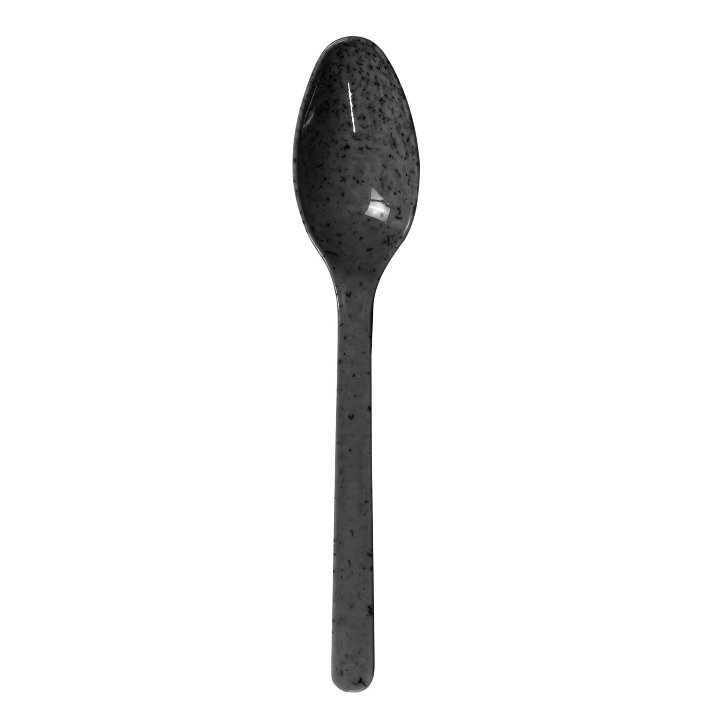 Black Agave Spoon