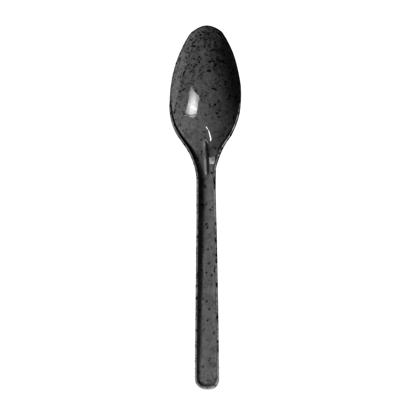 Black Agave Spoon