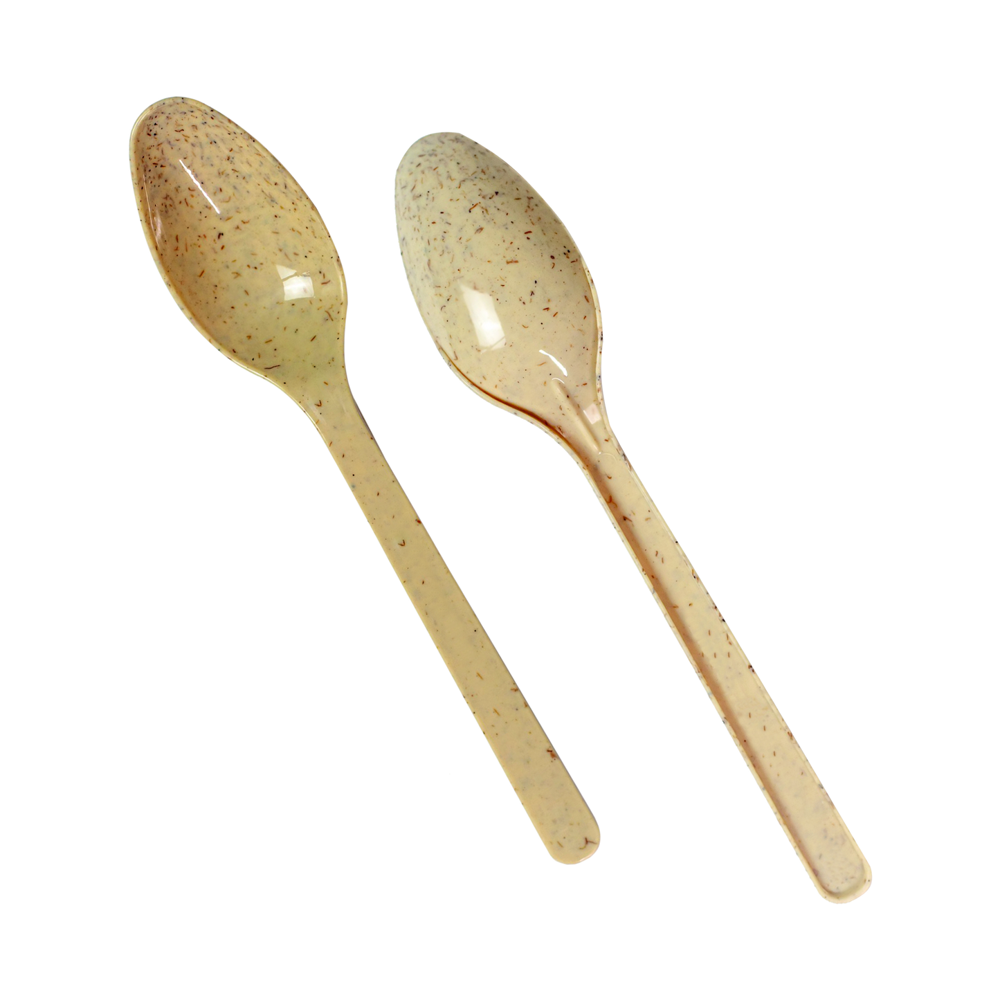 Natural Agave Spoon