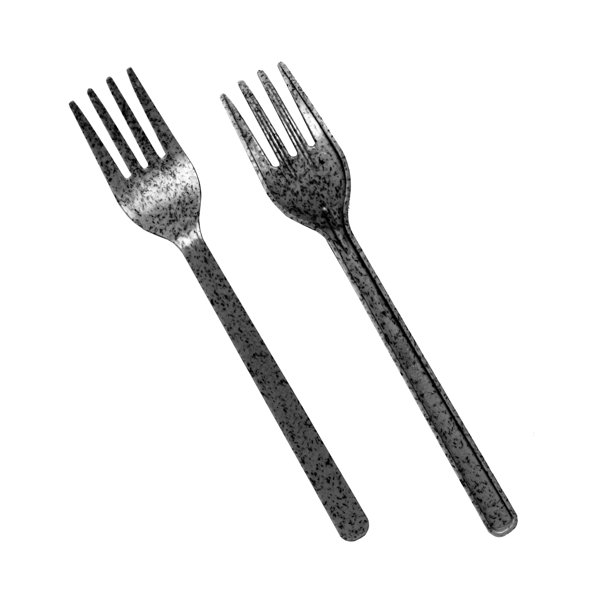 Black Agave Fork